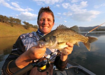 TESTED: Daiwa TMZ Interline & Zillion baitcaster